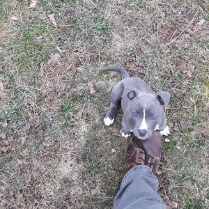 Meet your Posher, Justin